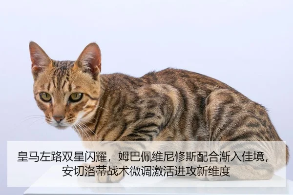 皇马左路双星闪耀，姆巴佩维尼修斯配合渐入佳境，安切洛蒂战术微调激活进攻新维度
